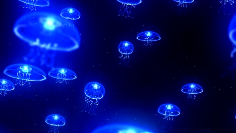 jellyfish illuminated with color light in the underwater, cg animation, loop