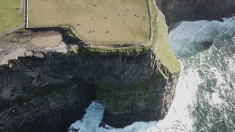 Top-drone-view-of-cliffs-of-Moher,-fields-and-walking-path-and-the-white-foam-form-the-atlantic-ocean-underneath,-Ireland