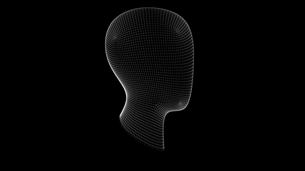 The mesh of a head. Looping footage has 4K resolution.