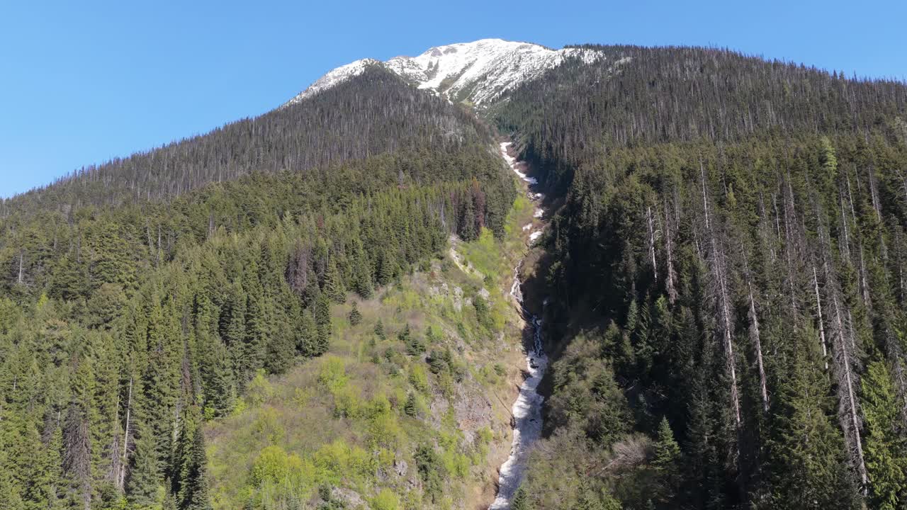 Majestic Snow-Capped Mountain with Green Pine Forests and Flowing Stream in British Columbia, Canada
