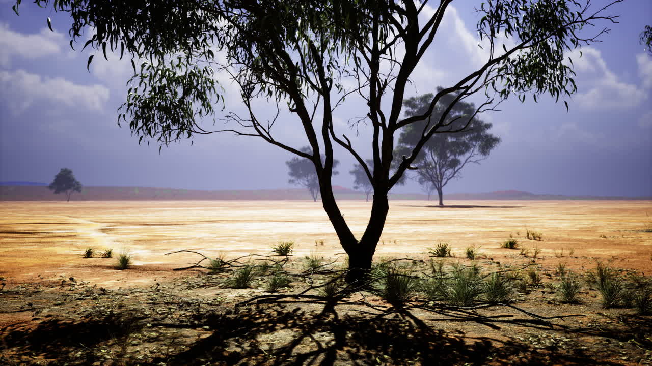Dramatic landscape featuring solitary trees under a moody sky at twilight