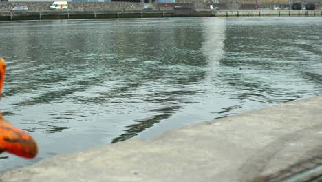 wind making ripples in the water