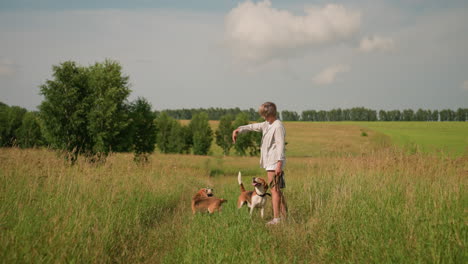 pet lover playfully instructing dog to turn around while second dog looks at hand with tongue out, both dogs engaged and excited, sunny day in grassy field, surrounded by lush greenery