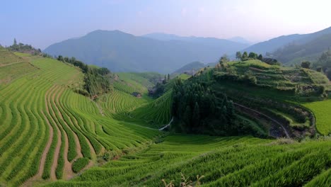 panoramic view of seven stars accompany the moon cascading layered rice terraces forming part of longji rice terraces, pingan village, guangxi province, china
