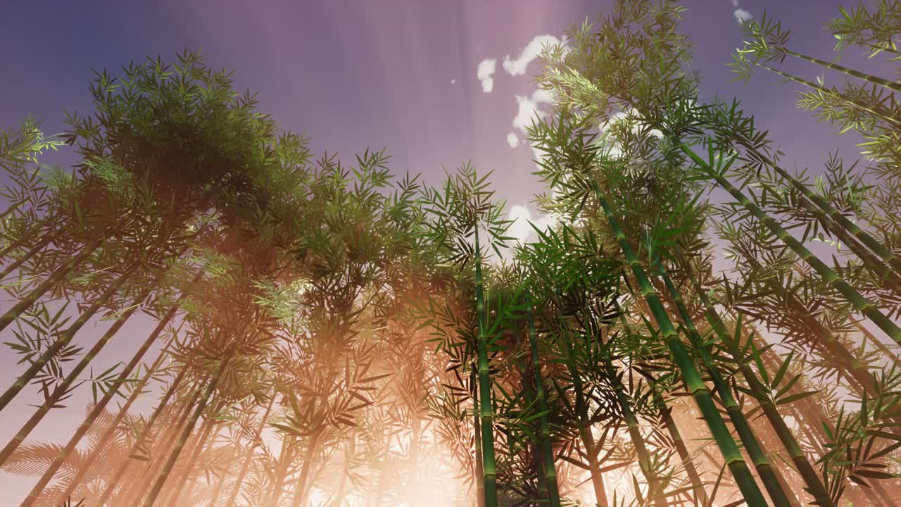 대나무 숲 정원