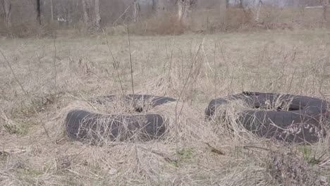 junk tires in fielded area