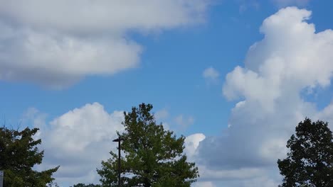 Footage-of-a-clear-blue-sky-with-fluffy-white-clouds-and-silhouetted-trees