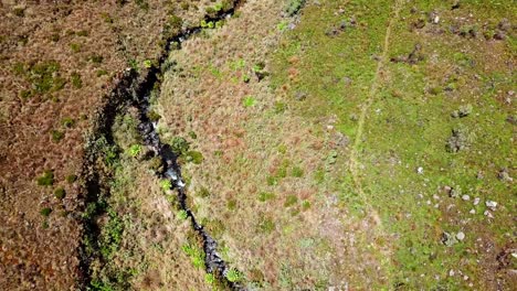 aguas de manantial que fluyen de las montañas del bosque tropical a lo largo de la caminata del monte elgon en kenia, áfrica