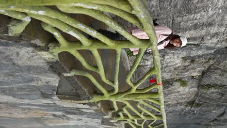 tourist in pink jacket over a cliff enjoys her visit to tianmen mountain, zhangjiajie. vertical