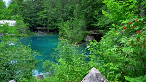 Dies-Ist-Eine-Enthüllungsaufnahme-Des-Blausees-In-Der-Schweiz