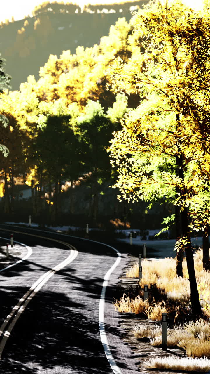 가을 에 숲 을 가로질러 휘어지는 아스팔트 도로