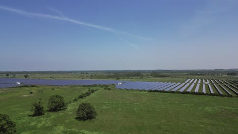 solar panels on lush green field