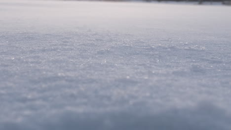 strong wind blowing snow particles of snow covered ground in close up