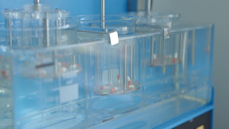 capsule being tested in a dissolution apparatus