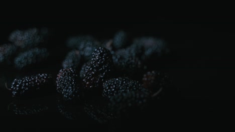 blackberry fruit is very tasty and has a lot of nutritional value.