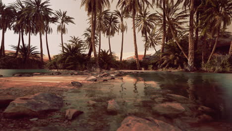 Colorful-scene-with-a-palm-tree-over-a-small-pond-in-a-desert-oasis