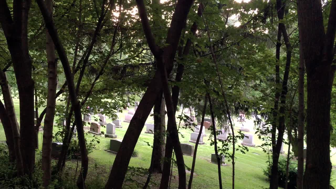 X-Shaped trees in front of graveyard, zoom, Prospect Cemetery