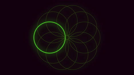 vibrant green circle surrounded by radiating lines of dark dots