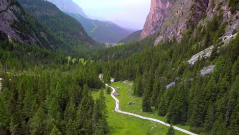 camino a través de exuberantes prados verdes y denso bosque alpino valle de vallunga, con altos acantilados, provincia de bolzano, tirol del sur, italia