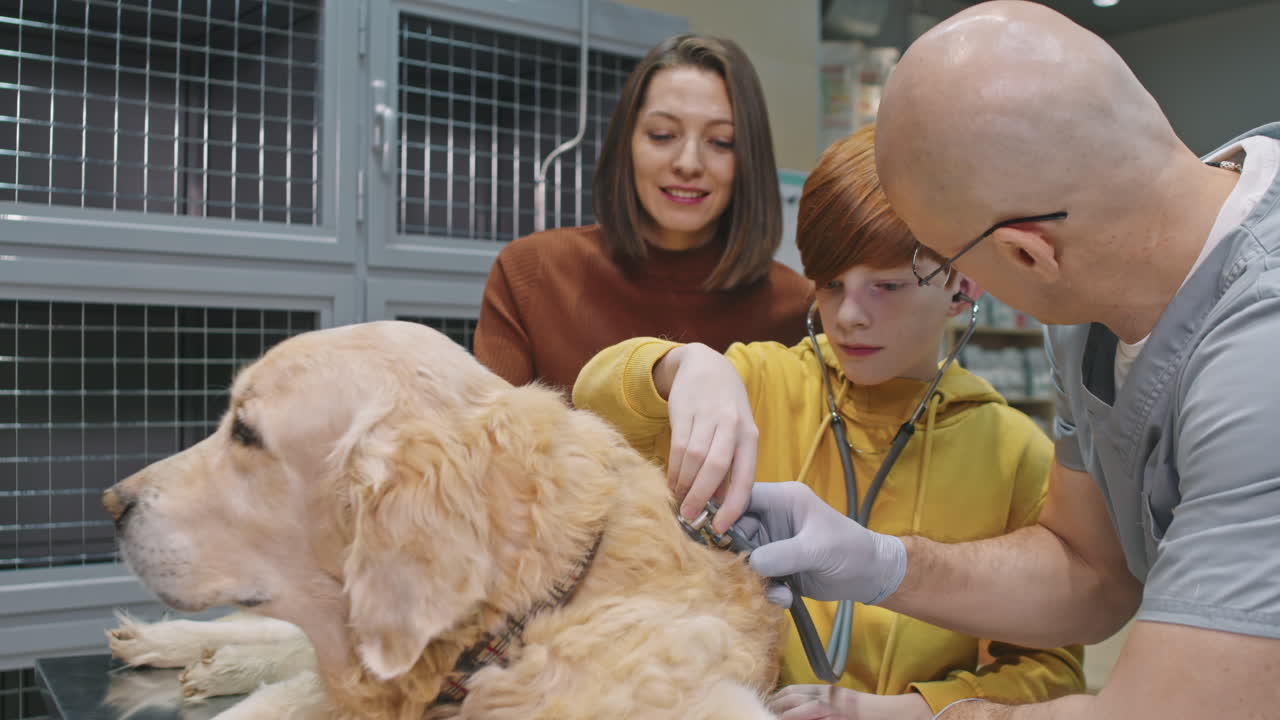 Little Boy Examining Dog With Stethoscope