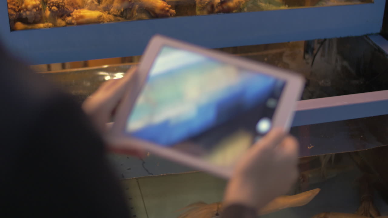 Donna con tablet che riprende l'acquario di un negozio con calamari e conchiglie