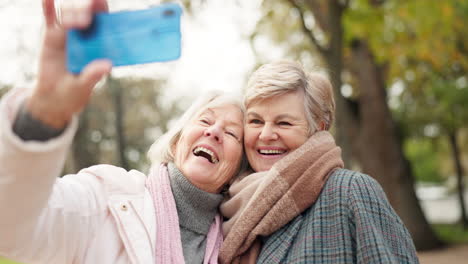 senior happy woman, friends