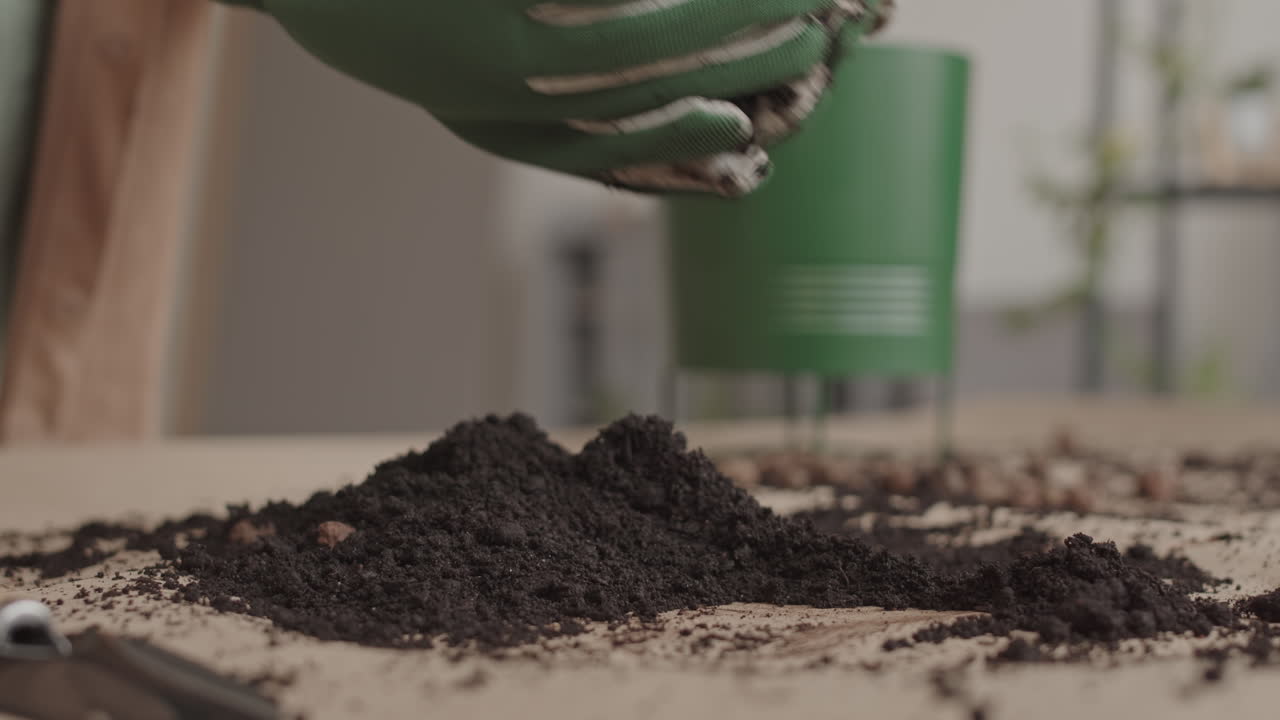 Transferring Soil from Surface into Pot