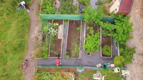 Drone-footage-of-couple-gardening-