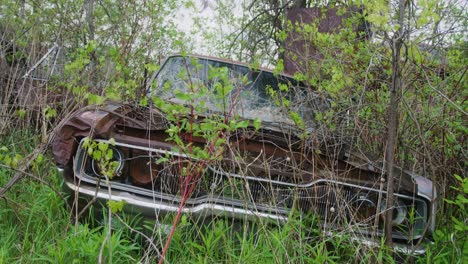 Un-Coche-Abandonado-Y-Oxidado-En-Medio-De-Un-Bosque.