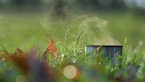 closeup thermos cup hot tea standing grass. steam rise over warm drink outdoors.