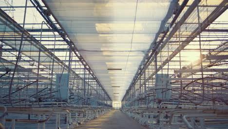 Interior-empty-factory-room-with-technological-growing-devices-agro-manufacture