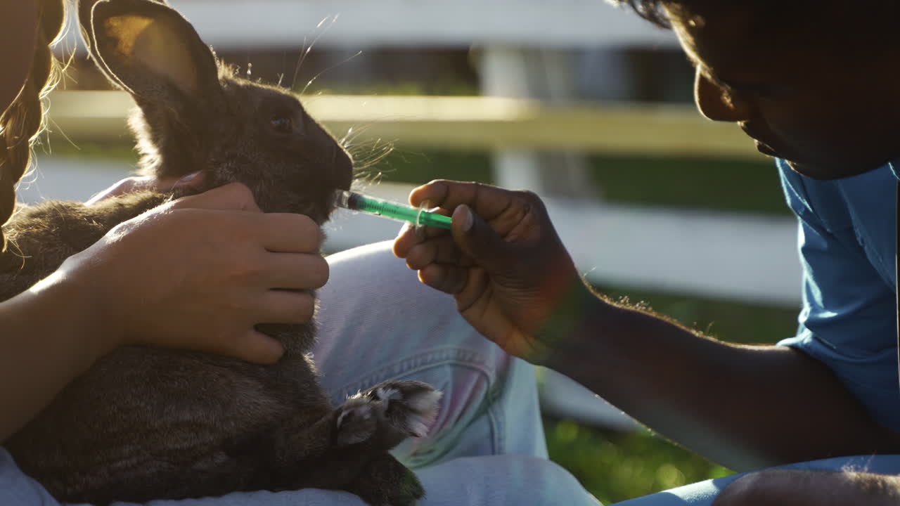 야외에서 귀여운 토끼를 들고 있는 농부
