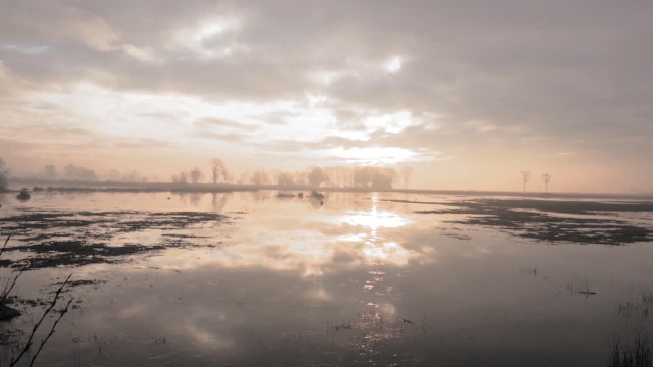 습지 위 의 안개 가 가득 한 해가 뜨는 것