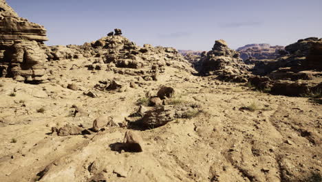 desert landscape with unique rock formations and sparse vegetation in daylight