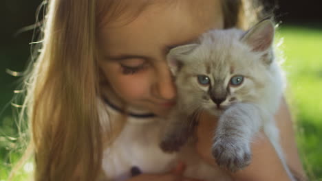 close-up view of a cute small kitty cat in hands of little girl in the park on a sunny day