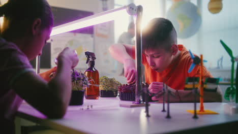 students learning about plants in a school science classroom