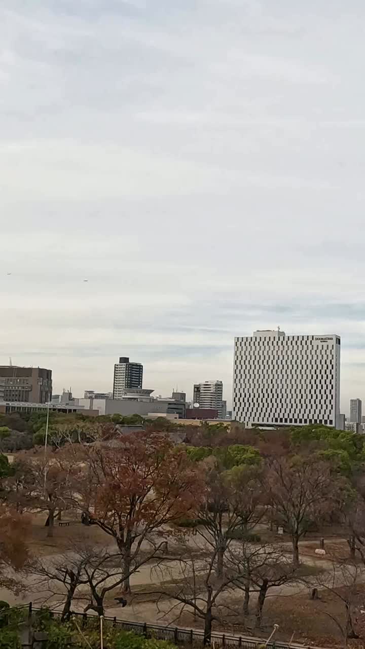 el lapso de tiempo de un paisaje urbano desde un punto de vista elevado.