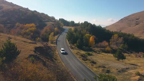 automobile driving on road through a forest drone shot