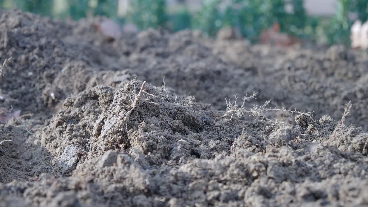 Primo piano di terreno