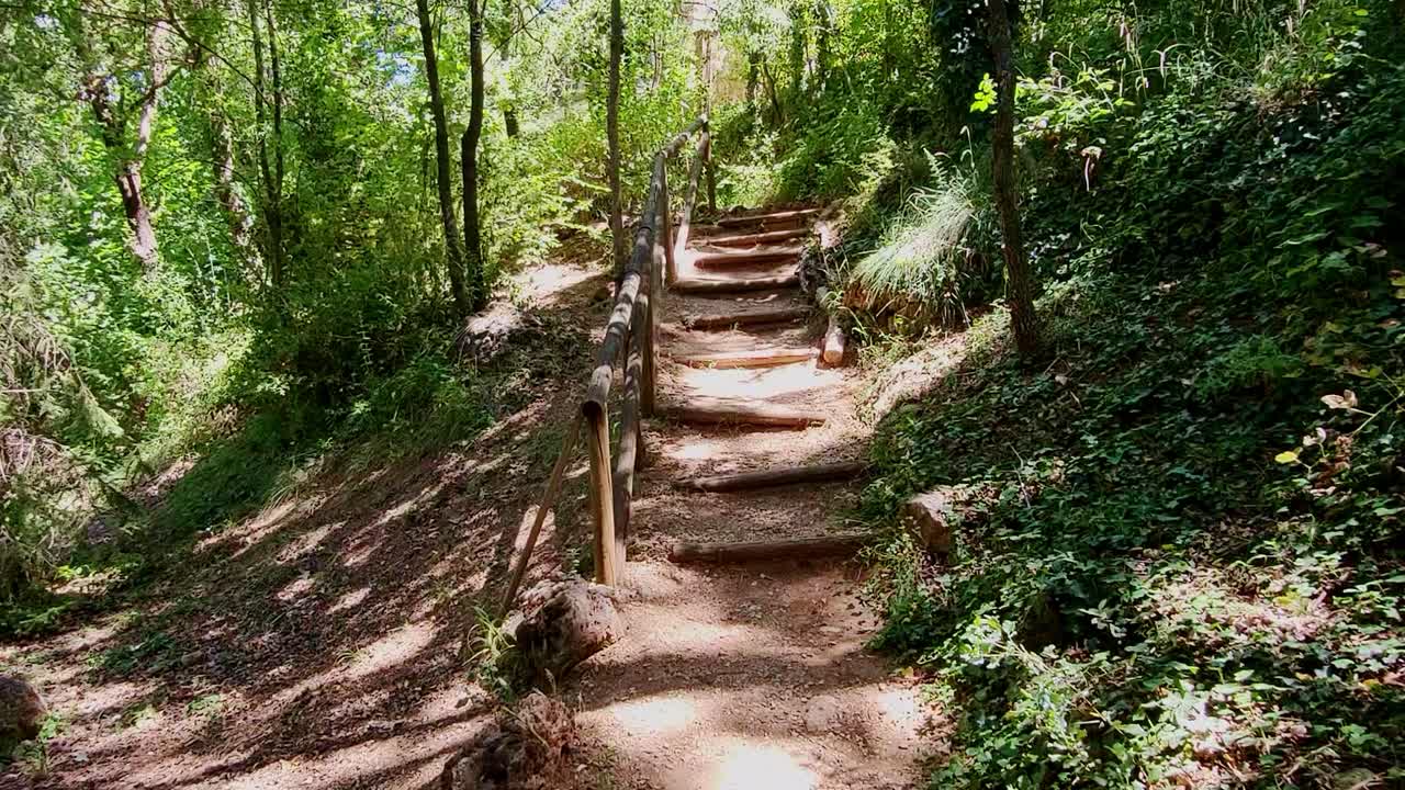 First person view of a walk through the forest. Walking along a path through the forest trees and a staircase made of wooden logs. Cazrola. Spain