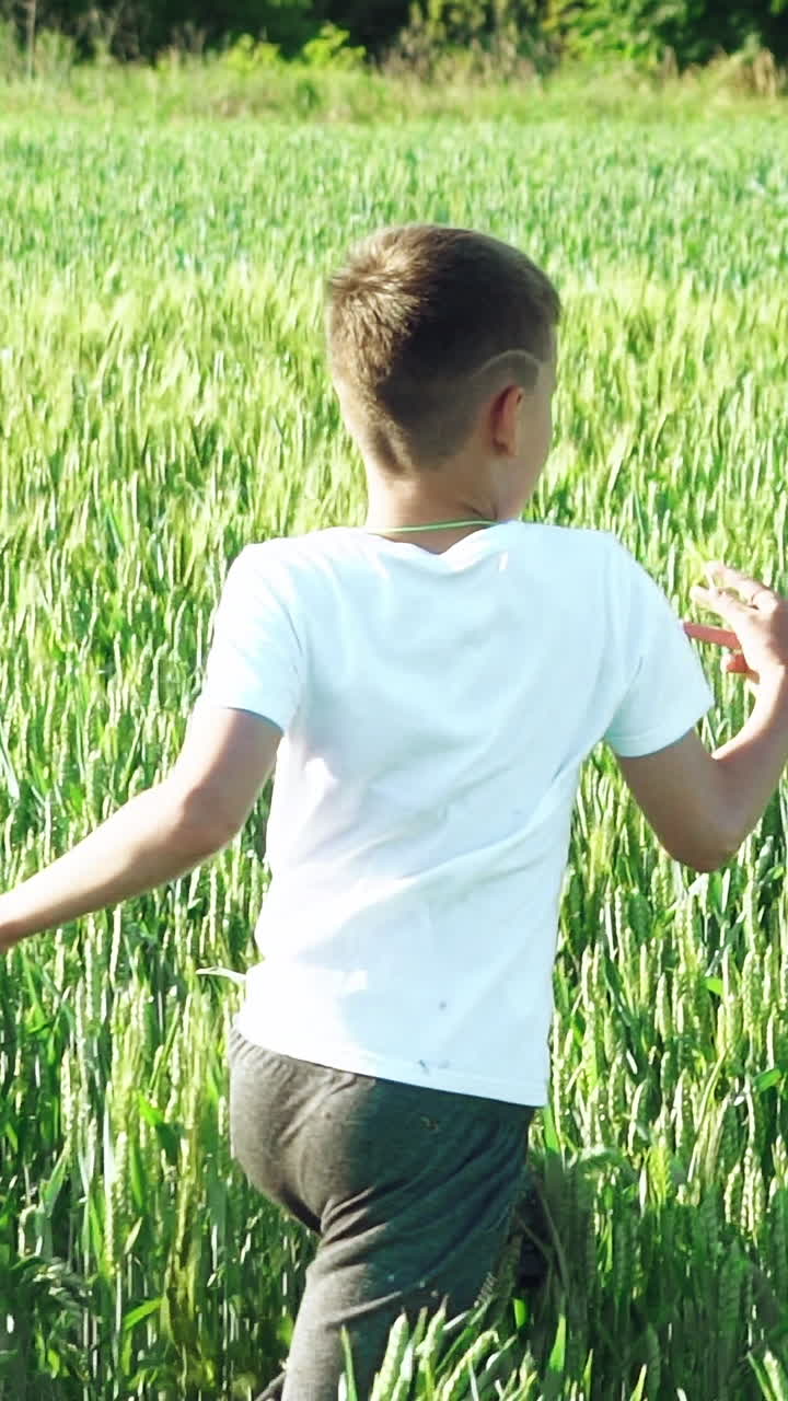 little boy is running through a wheat field. Vertical video