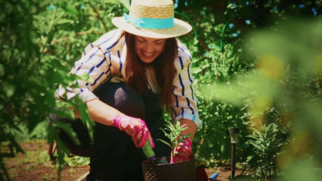 Woman Planting Flowers in a Garden