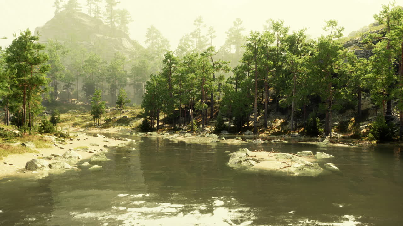 Peaceful River in a Foggy Forest