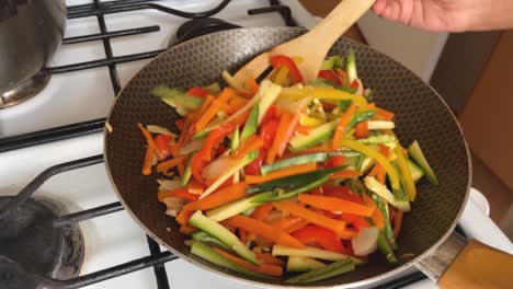 Preparing stew with various vegetables, in pan on gas stove, home cooking