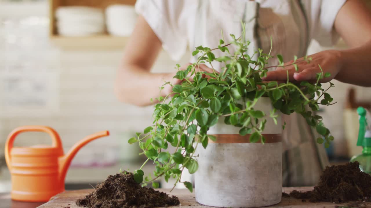 sección media de las plantas de macetas de la mujer caucásica en la cocina de la cabaña