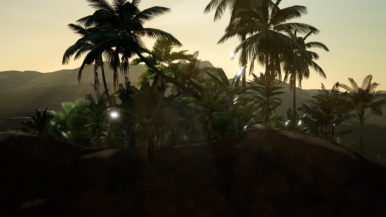 Coco palm trees tropical landscape