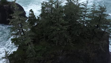 Excelente-Toma-Aérea-De-Pinos-En-Grandes-Rocas-Frente-A-La-Costa-De-Oregon