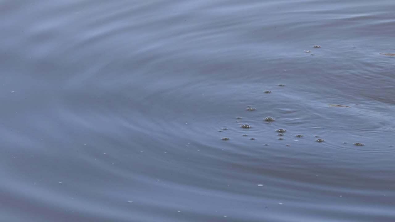 파동과 떠다니는 잔해의 점진적인 분산