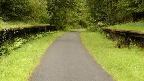 wide-shot-of-both-Overgrown-Disused-Railway-Platforms-at-Cynonville-Station