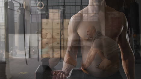 Exercising in gym, people with animation overlay of muscular torso and equipment